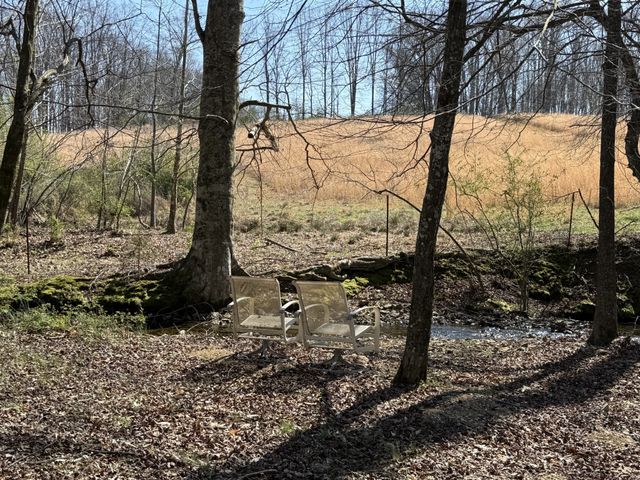 181 Ramah Rd, Leoma, TN 38468