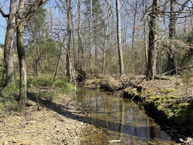 181 Ramah Rd, Leoma, TN 38468