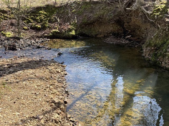 181 Ramah Rd, Leoma, TN 38468