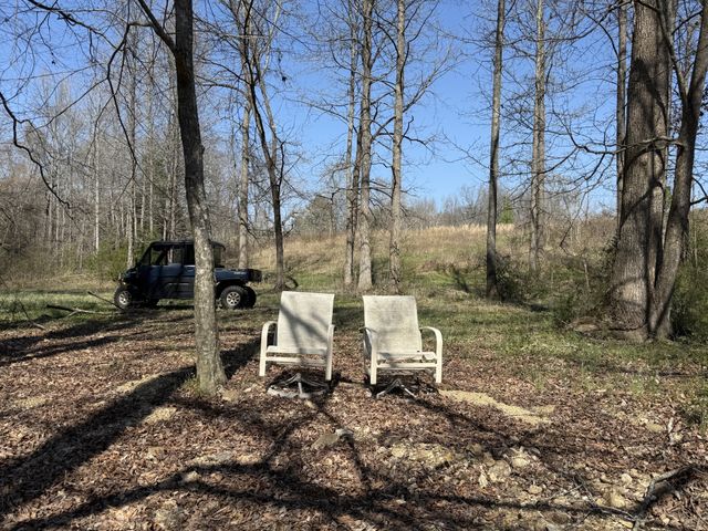181 Ramah Rd, Leoma, TN 38468