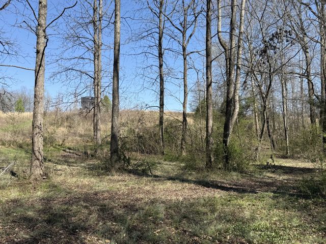 181 Ramah Rd, Leoma, TN 38468