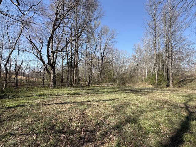 181 Ramah Rd, Leoma, TN 38468