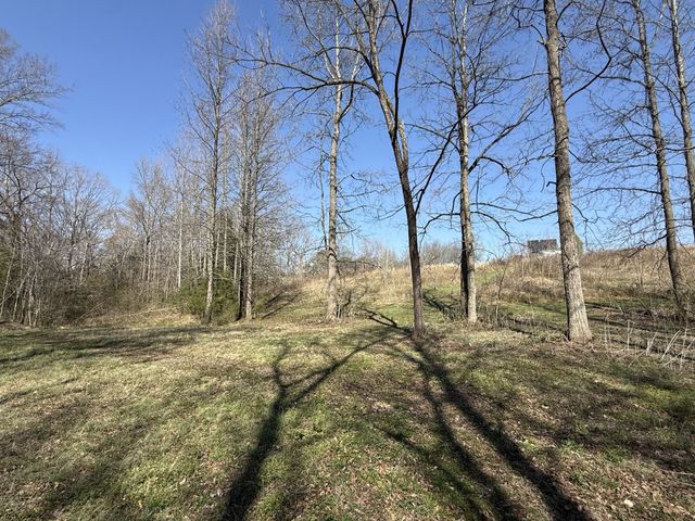 181 Ramah Rd, Leoma, TN 38468