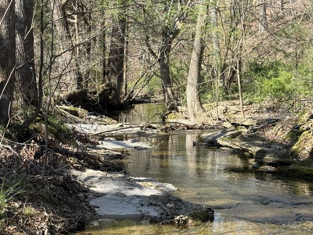 181 Ramah Rd, Leoma, TN 38468