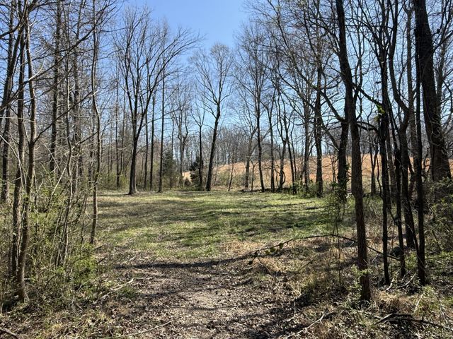 181 Ramah Rd, Leoma, TN 38468