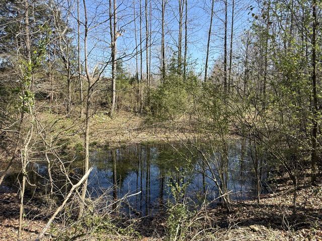 181 Ramah Rd, Leoma, TN 38468