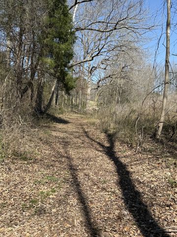 181 Ramah Rd, Leoma, TN 38468