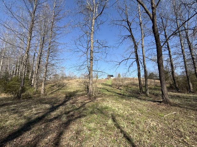 181 Ramah Rd, Leoma, TN 38468