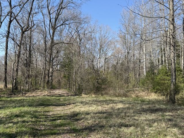 181 Ramah Rd, Leoma, TN 38468