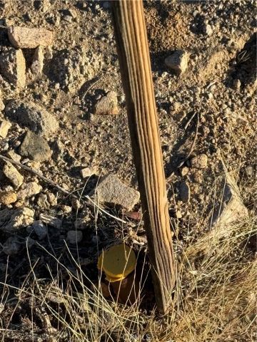 8500 Utah, 29 Palms, CA 92277