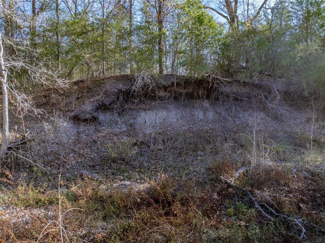 TBD Bauer Rummel Road, Round Top, TX 78954