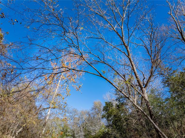 TBD Bauer Rummel Road, Round Top, TX 78954