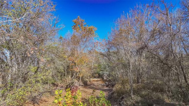 TBD Bauer Rummel Road, Round Top, TX 78954