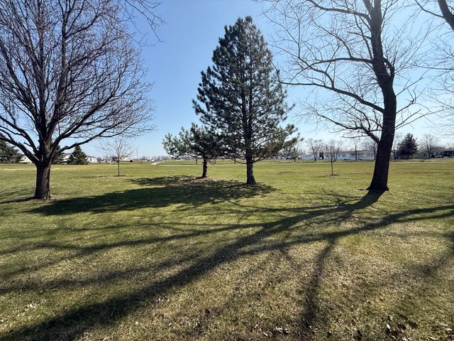 25615 Baltusrol Drive, Monee, IL 60449