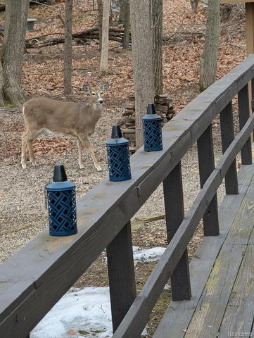 809 Blood Road, Tecumseh, MI 49286