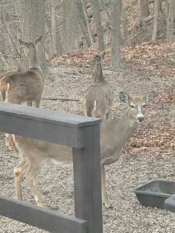 809 Blood Road, Tecumseh, MI 49286