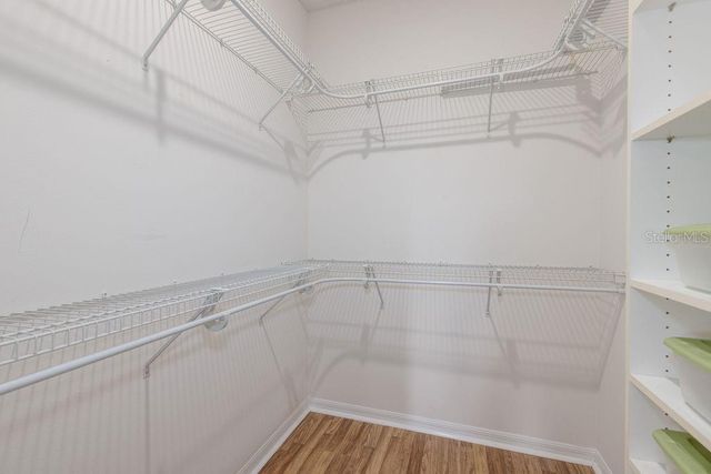 6002 SAILBOAT AVENUE, Tavares, FL 32778