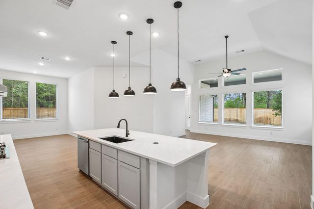 26027 S Outrider Banks, Montgomery, TX 77316