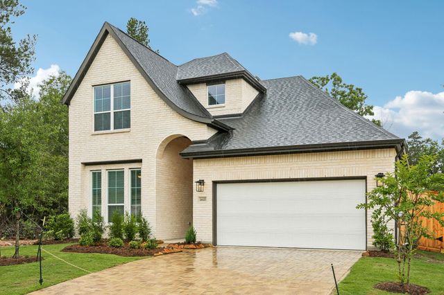 26027 S Outrider Banks, Montgomery, TX 77316