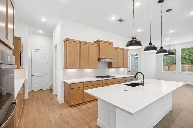 26027 S Outrider Banks, Montgomery, TX 77316