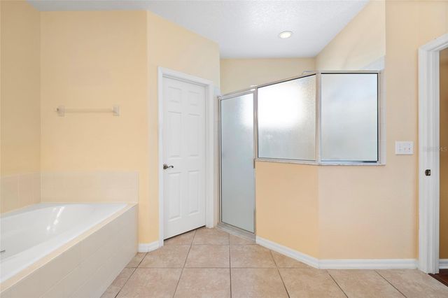 113 BLACKSTONE CREEK ROAD, Groveland, FL 34736