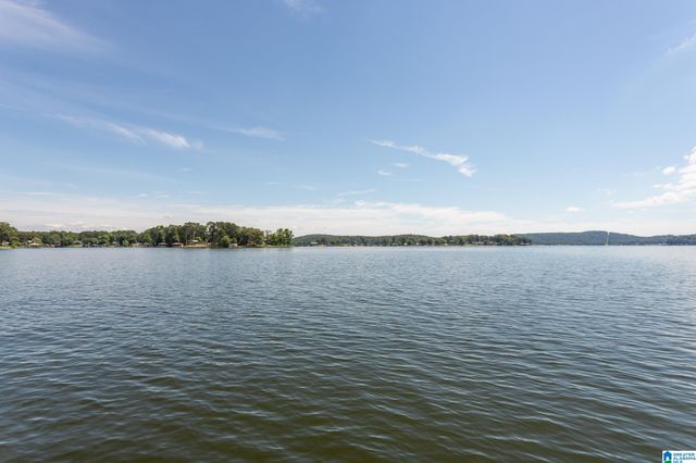 116 LEISURE ISLAND ROAD, Vincent, AL 35178