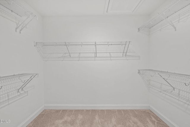 1101 Canary Pepper Drive, Durham, NC 27713