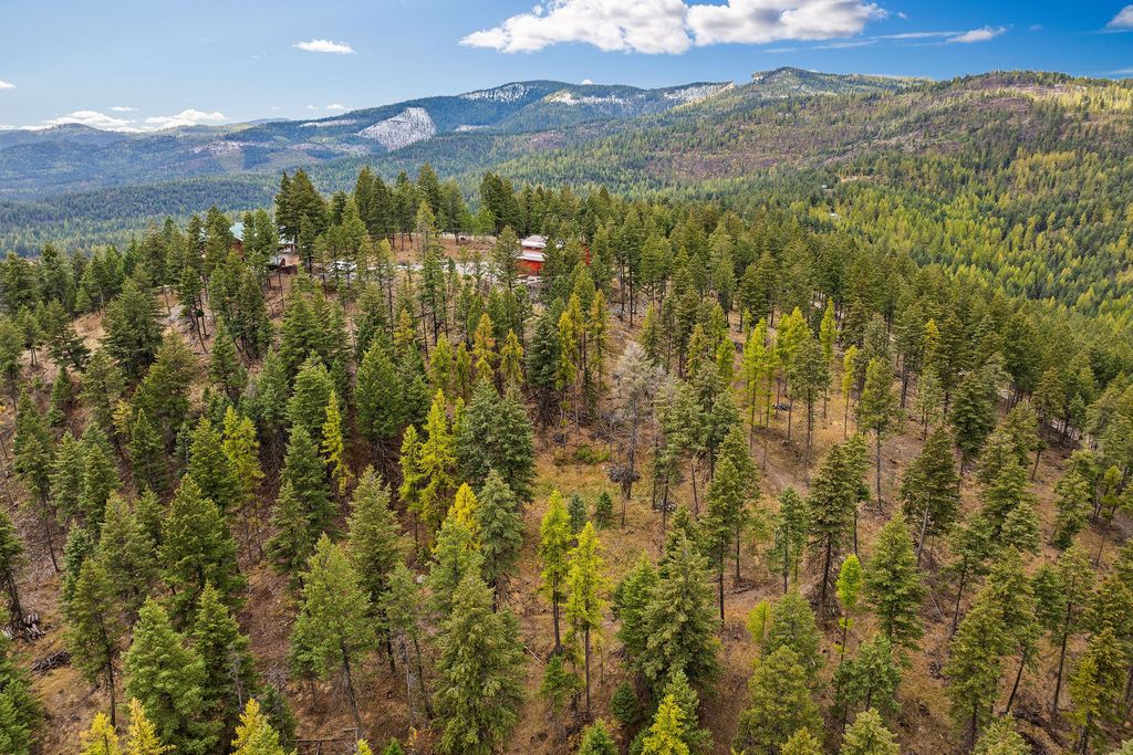 395 Buffalo Lane, Somers, MT 59932 photo 100