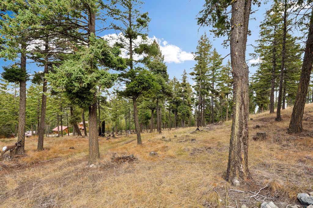 395 Buffalo Lane, Somers, MT 59932 photo 105