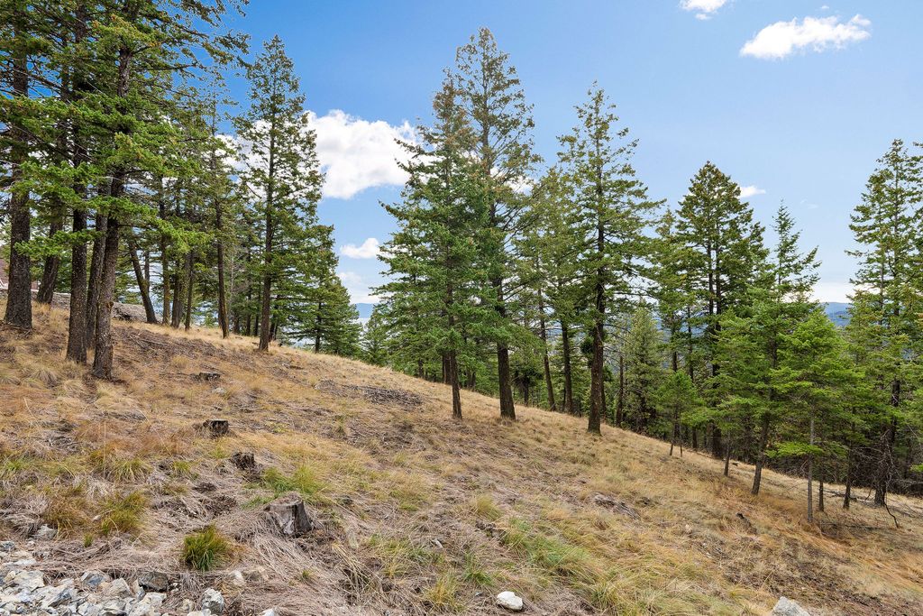 395 Buffalo Lane, Somers, MT 59932 photo 109