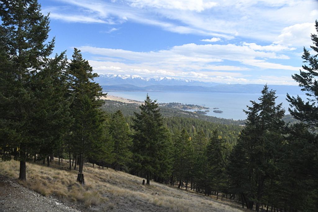 395 Buffalo Lane, Somers, MT 59932 photo 40