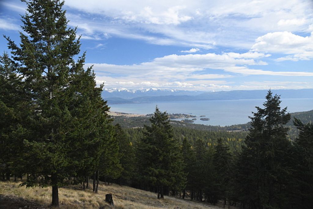 395 Buffalo Lane, Somers, MT 59932 photo 42