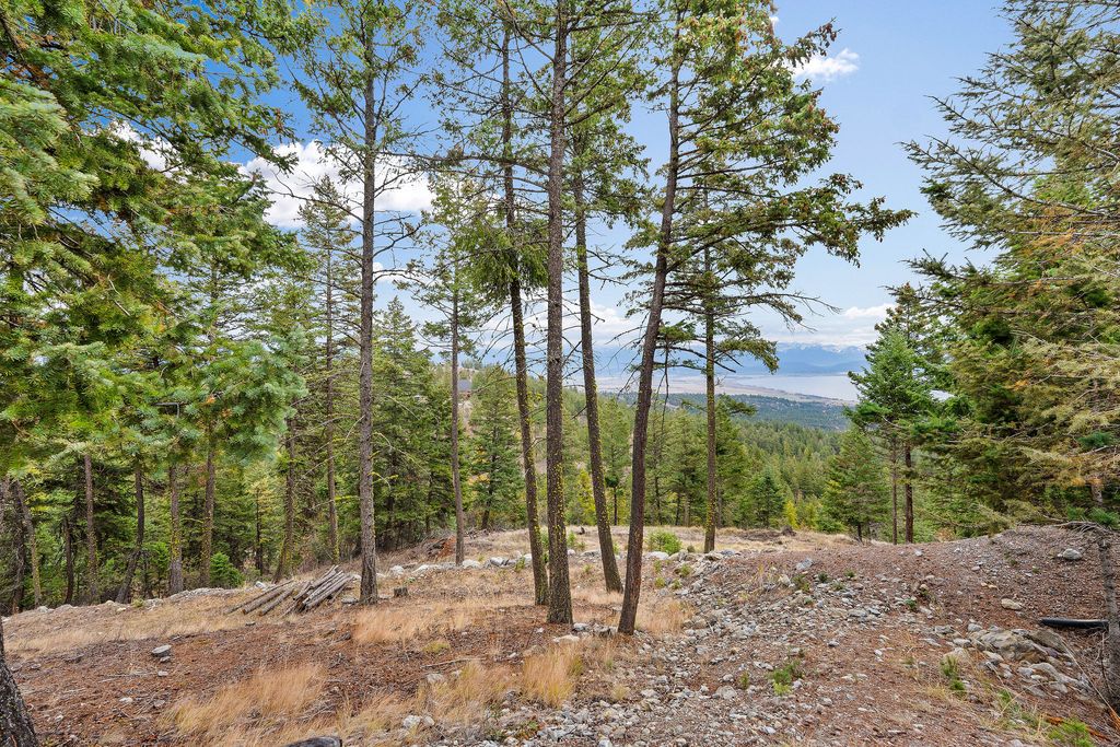 395 Buffalo Lane, Somers, MT 59932 photo 78