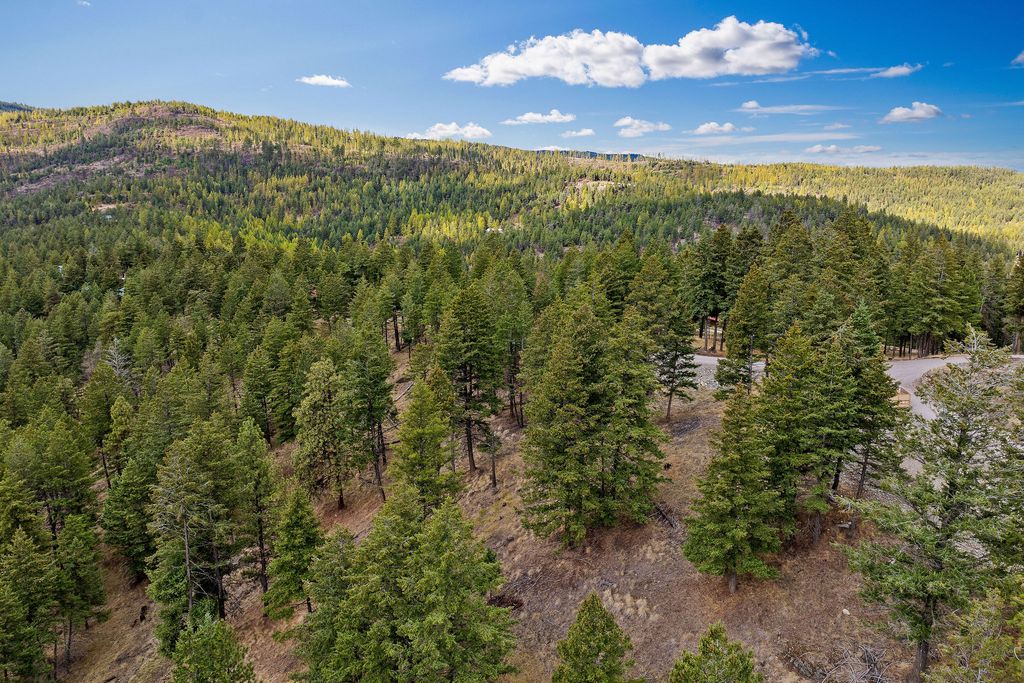 395 Buffalo Lane, Somers, MT 59932 photo 83