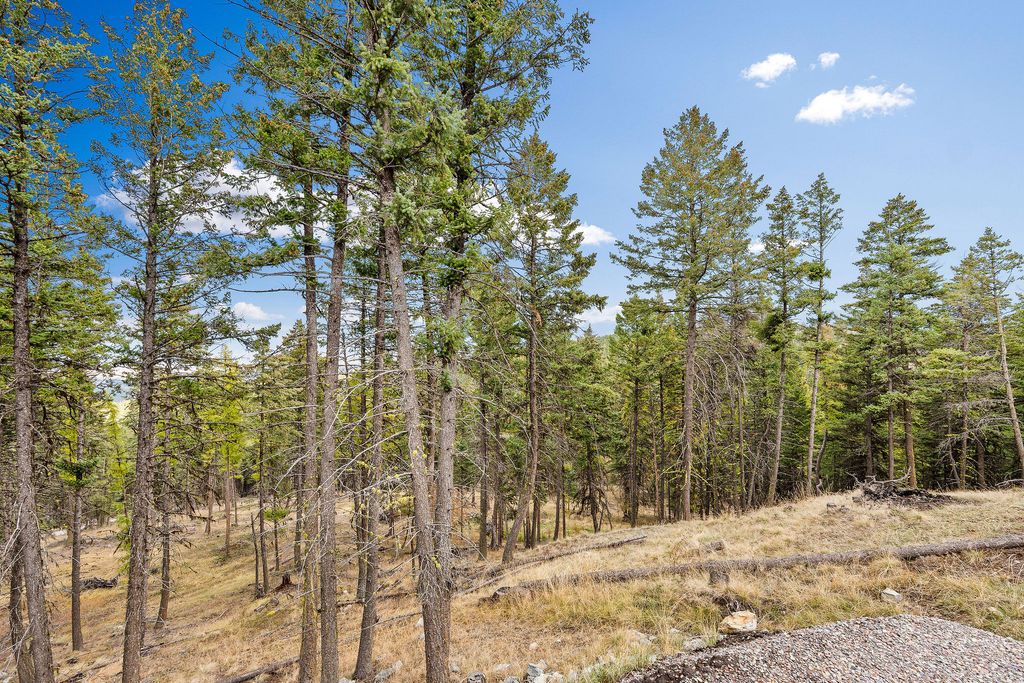 395 Buffalo Lane, Somers, MT 59932 photo 88