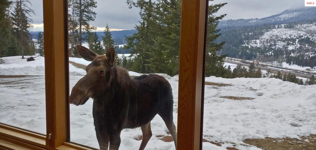 325 Wambi Wahohpi, Careywood, ID 83809 photo 29