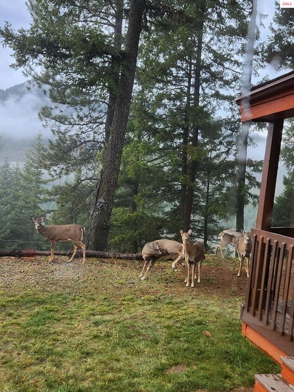 325 Wambi Wahohpi, Careywood, ID 83809 photo 30