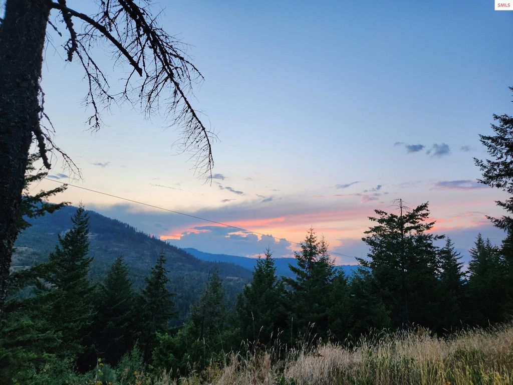 325 Wambi Wahohpi, Careywood, ID 83809 photo 42