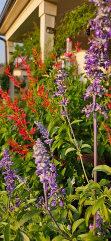 80 MISTY MEADOWS DR, Oakland, TN 38060