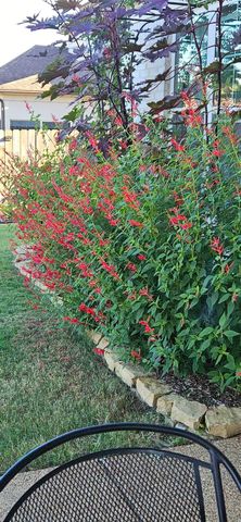 80 MISTY MEADOWS DR, Oakland, TN 38060