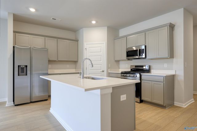 223 Waylan Ridge Lane, Madison, AL 35757