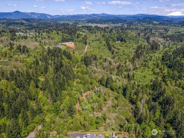 2 NE Lewisville Highway, Yacolt, WA 98675