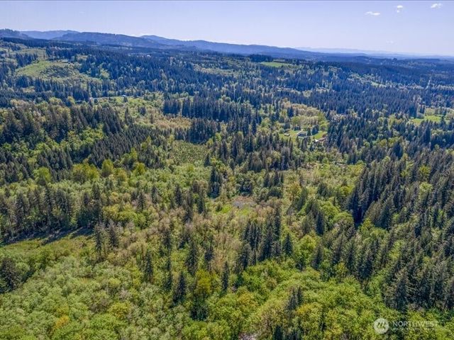2 NE Lewisville Highway, Yacolt, WA 98675