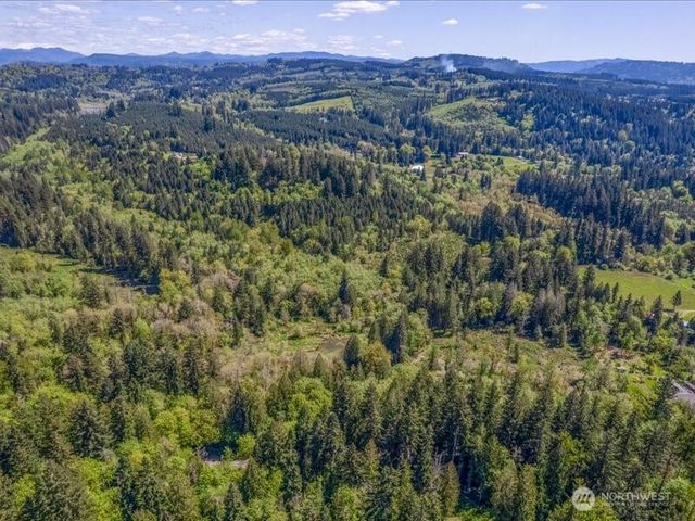 2 NE Lewisville Highway, Yacolt, WA 98675