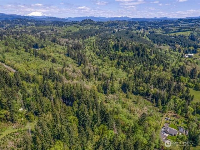 2 NE Lewisville Highway, Yacolt, WA 98675
