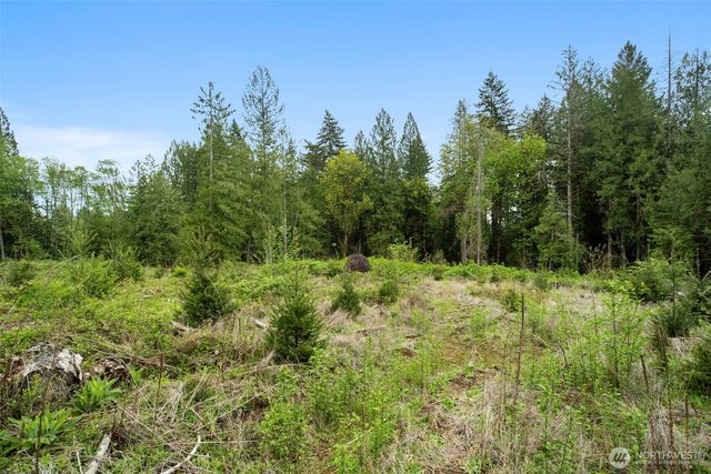 2 NE Lewisville Highway, Yacolt, WA 98675