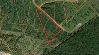 00 Eagle Falls Blvd, Trinity, TX 75862