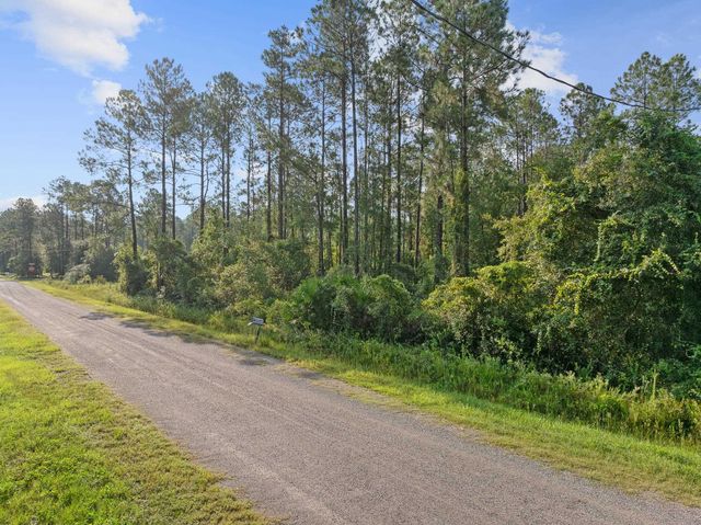 4415 Theresa St, Hastings, FL 32145