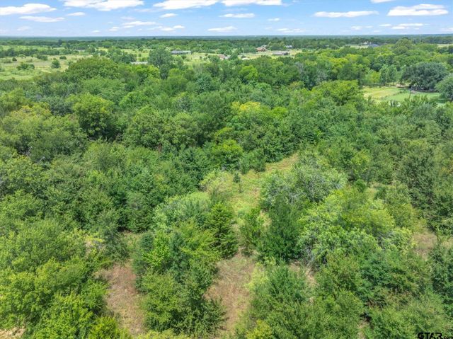 Lot 19 & 20 FM 47, Wills Point, TX 75169