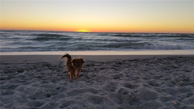 221 S VENICE BOULEVARD, Venice, FL 34293